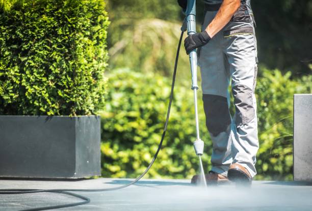 Professional Pressure Washing Services in Frankford, DE